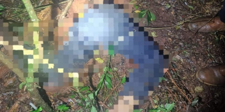 Homem é localizado morto dentro de toca de tatu no interior do RS