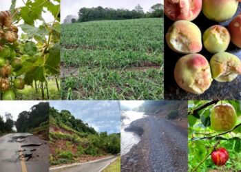 Nova Pádua decreta Situação de Emergência após estragos causados pelos temporais