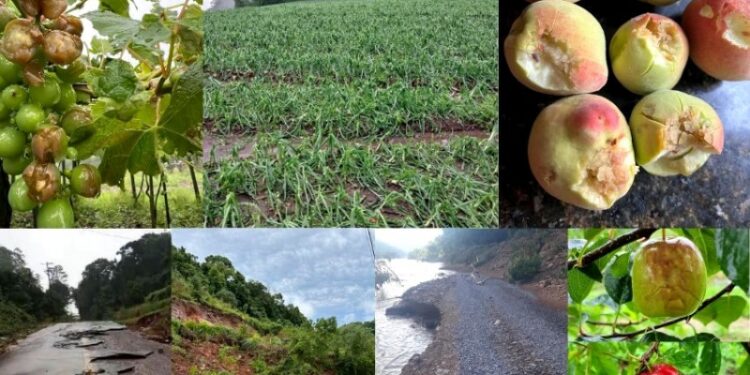 Nova Pádua decreta Situação de Emergência após estragos causados pelos temporais