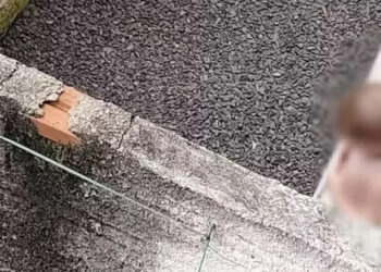 Menino de 2 anos é acorrentado pela mãe no pátio de casa no RS