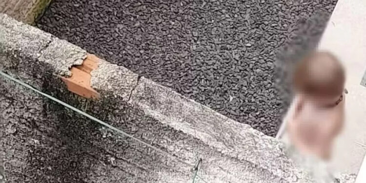 Menino de 2 anos é acorrentado pela mãe no pátio de casa no RS