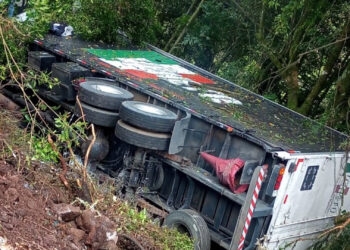 Caminhão Desgovernado Causa Grave Acidente na ERS-122, em Antônio Prado