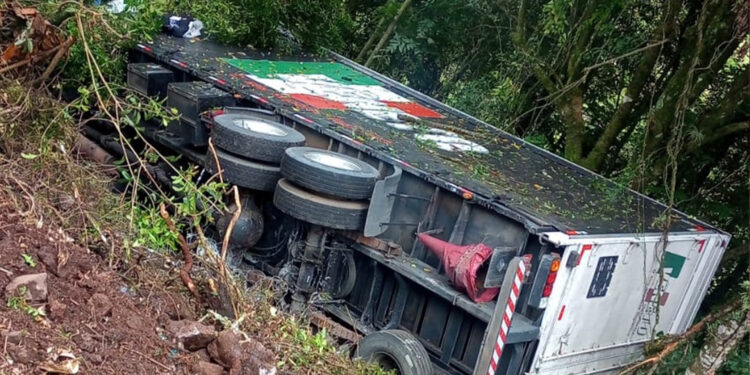 Caminhão Desgovernado Causa Grave Acidente na ERS-122, em Antônio Prado