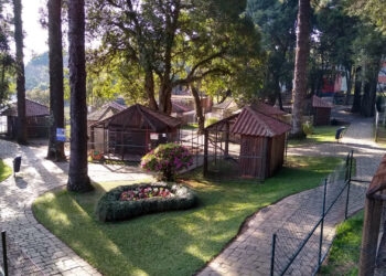 Zoológico da UCS, em Caxias, vai encerrar atividades em 2024