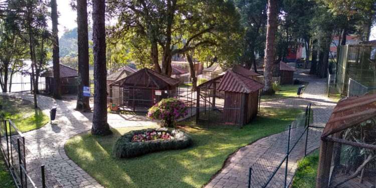 Zoológico da UCS, em Caxias, vai encerrar atividades em 2024