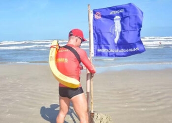 Em 20 dias, litoral do RS registra mais de 7 mil atendimentos por queimaduras de águas-vivas