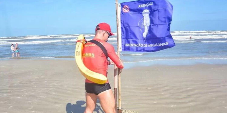 Em 20 dias, litoral do RS registra mais de 7 mil atendimentos por queimaduras de águas-vivas