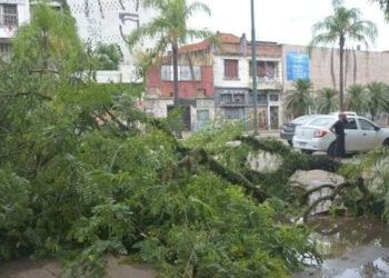 “Quem puder ficar em casa, fique, pois a cidade está praticamente parada”, afirma o prefeito de Porto Alegre