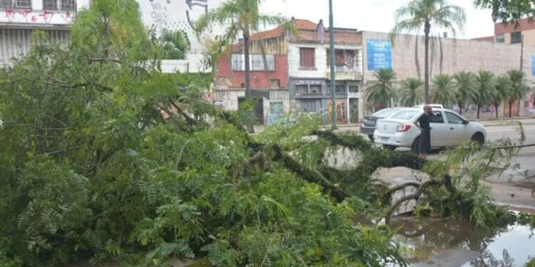 “Quem puder ficar em casa, fique, pois a cidade está praticamente parada”, afirma o prefeito de Porto Alegre
