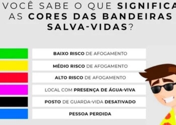Você sabe o que representa cada Cor das Bandeiras Salva-vidas?