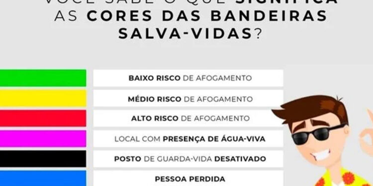 Você sabe o que representa cada Cor das Bandeiras Salva-vidas?