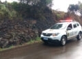Homem de 57 Anos e Esposa Salvam Parreiras e Ameixeiras de Incêndio nas Margens da ERS 448 em Nova Roma do Sul