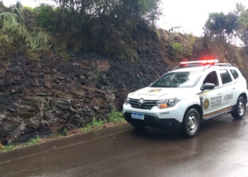 Homem de 57 Anos e Esposa Salvam Parreiras e Ameixeiras de Incêndio nas Margens da ERS 448 em Nova Roma do Sul
