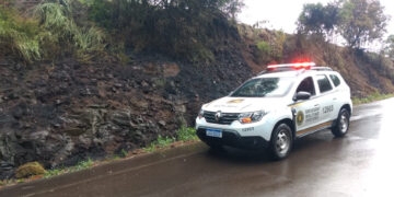 Homem de 57 Anos e Esposa Salvam Parreiras e Ameixeiras de Incêndio nas Margens da ERS 448 em Nova Roma do Sul