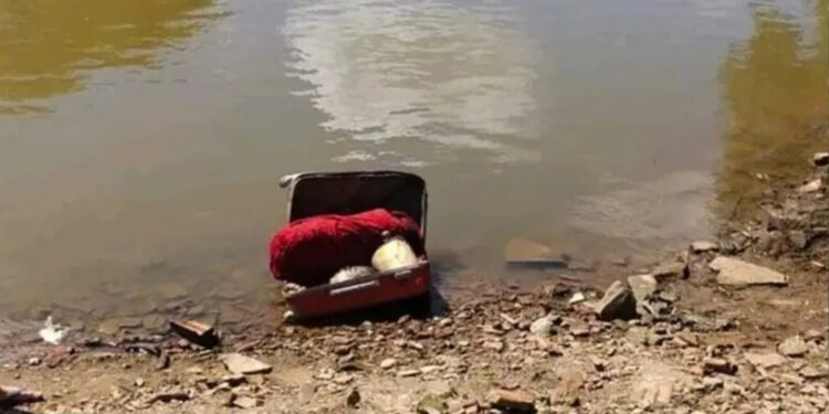 Corpo encontrado dentro de mala em São Leopoldo é de garota de programa