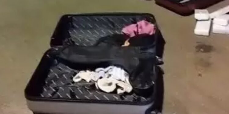 Passageiras são presas com drogas em ônibus que viajava do Pará para o Rio Grande do Sul