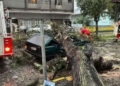 Chuva Intensa Causa Estragos e Deixa Mais de 226 Mil Sem Luz no Rio Grande do Sul