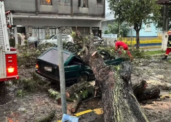 Chuva Intensa Causa Estragos e Deixa Mais de 226 Mil Sem Luz no Rio Grande do Sul