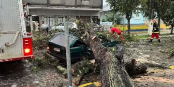 Chuva Intensa Causa Estragos e Deixa Mais de 226 Mil Sem Luz no Rio Grande do Sul