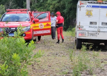 Adolescente salva irmã, mas morre afogado no interior de Chapecó