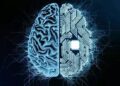 Neuralink, de Elon Musk, faz primeiro implante de chip cerebral em humano