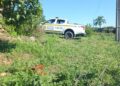 Morador de Nova Roma do Sul Encontra seu Cão Morto em Possível Caso de Disparo de Arma de Fogo