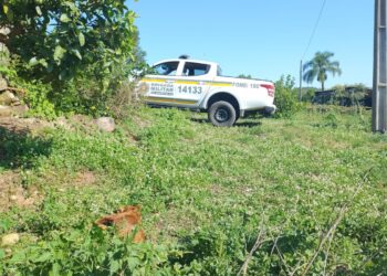 Morador de Nova Roma do Sul Encontra seu Cão Morto em Possível Caso de Disparo de Arma de Fogo
