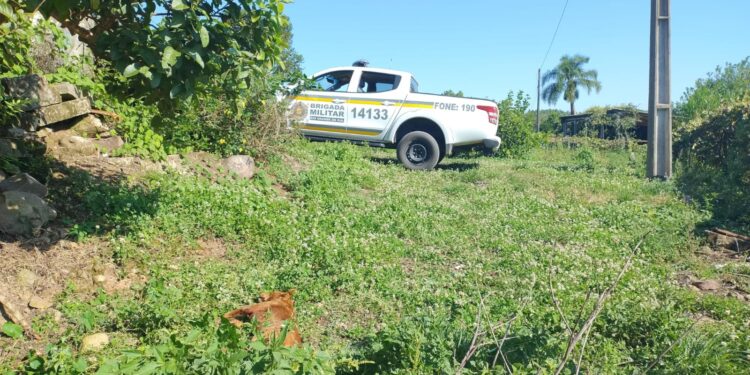 Morador de Nova Roma do Sul Encontra seu Cão Morto em Possível Caso de Disparo de Arma de Fogo