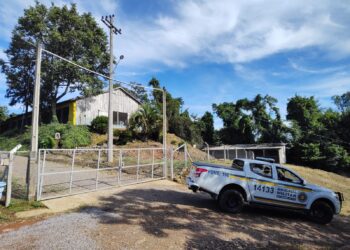 Câmeras de Segurança Flagram Invasão a Aviário por Casal no interior de Nova Roma do Sul