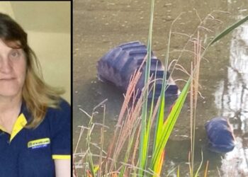 Identificada Mulher Vítima de Acidente de Trator em Nova Roma do Sul: Ivanes Battistin Tochetto