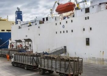 Mau cheiro de navio com carga de bovinos do Rio Grande do Sul chama a atenção do mundo