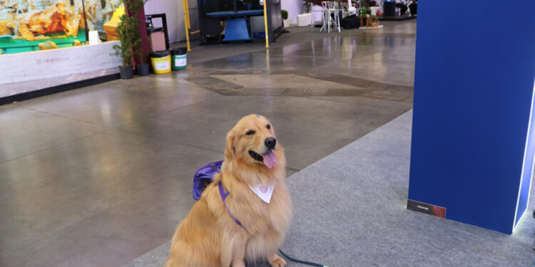 Pets São Bem-Vindos na 34ª Festa da Uva em Caxias do Sul