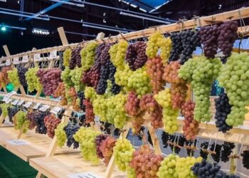 Inter vence o Brasil de Pelotas por 3 a 1 e garante a classificação às quartas de final do Gauchão