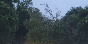 Rajadas de vento ultrapassam 140 quilômetros por hora no Rio Grande do Sul
