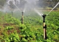 Governo gaúcho concederá R$ 213 milhões a produtores rurais para projetos de irrigação