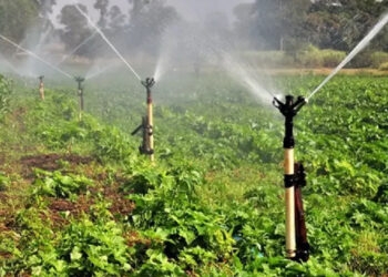 Governo gaúcho concederá R$ 213 milhões a produtores rurais para projetos de irrigação