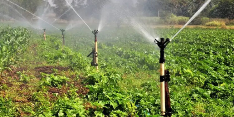 Governo gaúcho concederá R$ 213 milhões a produtores rurais para projetos de irrigação