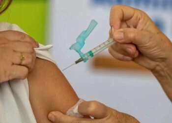 Vacinação pode levar até oito anos para reduzir transmissão da dengue