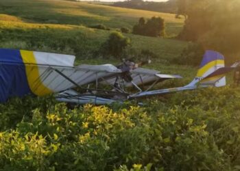 Acidente com Ultraleve deixa dois feridos em Santa Rosa