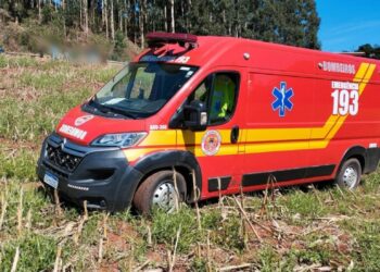 Homem de 55 anos morre após ser atingido por eucalipto