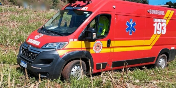 Homem de 55 anos morre após ser atingido por eucalipto