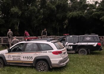 Polícia Civil recupera 29 animais bovinos no interior do Rio Grande do Sul