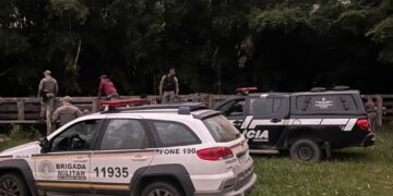 Polícia Civil recupera 29 animais bovinos no interior do Rio Grande do Sul