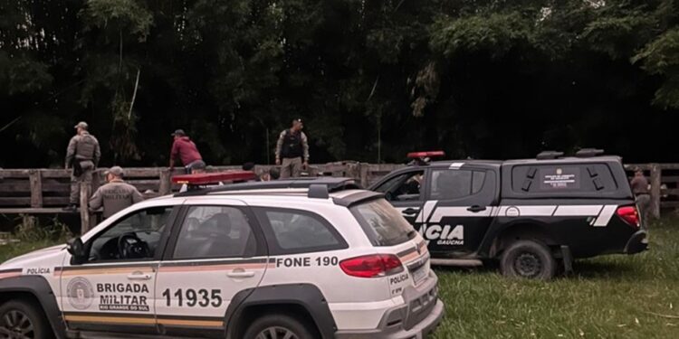 Polícia Civil recupera 29 animais bovinos no interior do Rio Grande do Sul