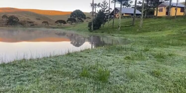 Serra do RS amanhece coberta por geada; termômetros registram 6,6ºC