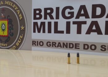 Homem de 23 anos é pego com munições em Nova Roma do Sul