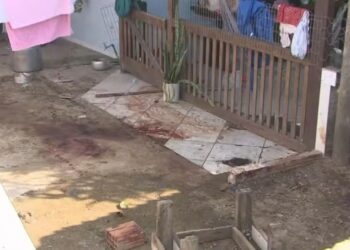 Quatro pitbulls matam homem em quintal de casa em Florianópolis