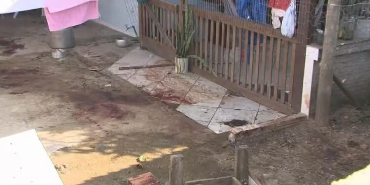 Quatro pitbulls matam homem em quintal de casa em Florianópolis