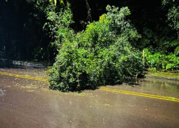 Chuvas intensas causam estragos em municípios do Rio Grande do Sul
