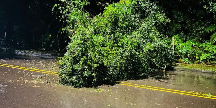 Chuvas intensas causam estragos em municípios do Rio Grande do Sul